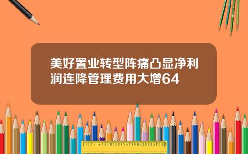美好置业转型阵痛凸显净利润连降管理费用大增64