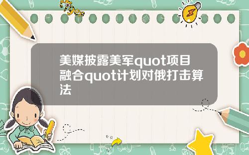 美媒披露美军quot项目融合quot计划对俄打击算法