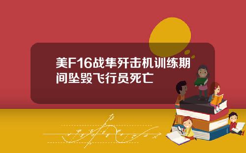 美F16战隼歼击机训练期间坠毁飞行员死亡
