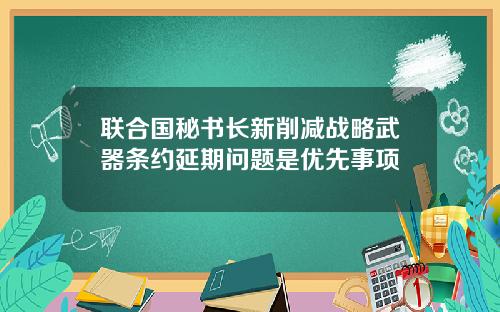 联合国秘书长新削减战略武器条约延期问题是优先事项