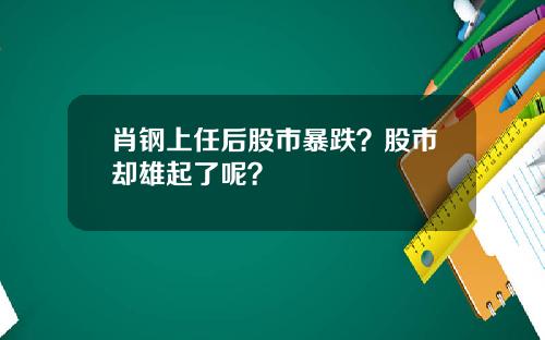肖钢上任后股市暴跌？股市却雄起了呢？
