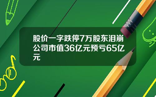 股价一字跌停7万股东泪崩公司市值36亿元预亏65亿元