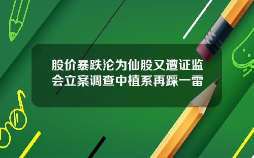 股价暴跌沦为仙股又遭证监会立案调查中植系再踩一雷