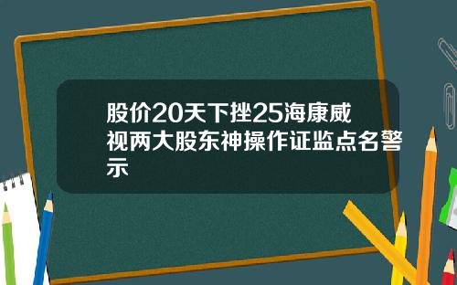 股价20天下挫25海康威视两大股东神操作证监点名警示
