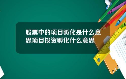 股票中的项目孵化是什么意思项目投资孵化什么意思