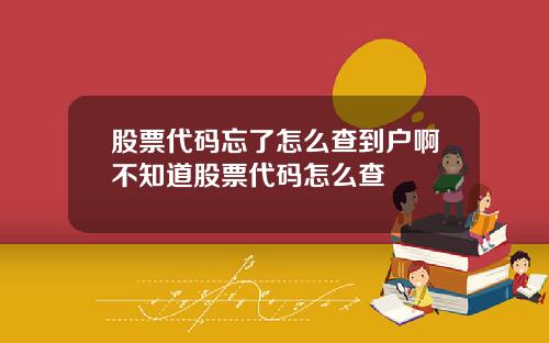 股票代码忘了怎么查到户啊不知道股票代码怎么查