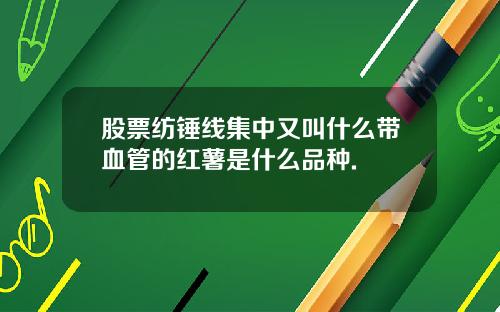 股票纺锤线集中又叫什么带血管的红薯是什么品种.