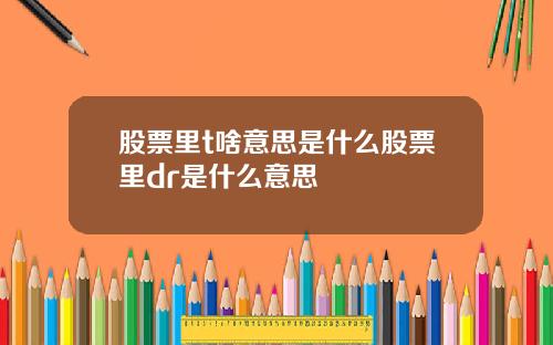 股票里t啥意思是什么股票里dr是什么意思