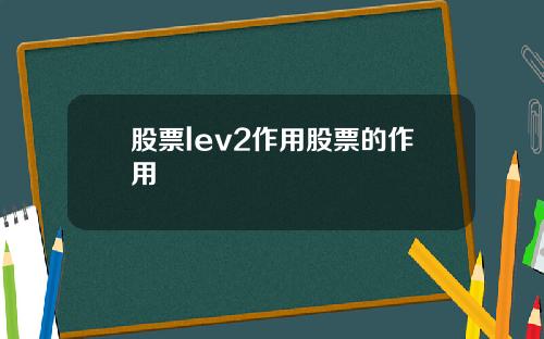 股票lev2作用股票的作用