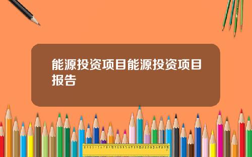 能源投资项目能源投资项目报告