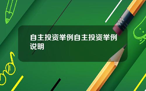 自主投资举例自主投资举例说明