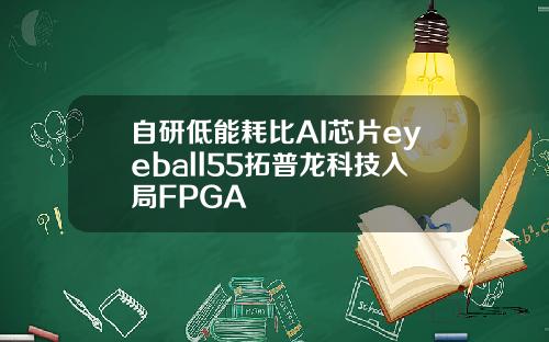 自研低能耗比AI芯片eyeball55拓普龙科技入局FPGA