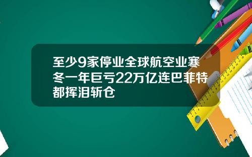 至少9家停业全球航空业寒冬一年巨亏22万亿连巴菲特都挥泪斩仓