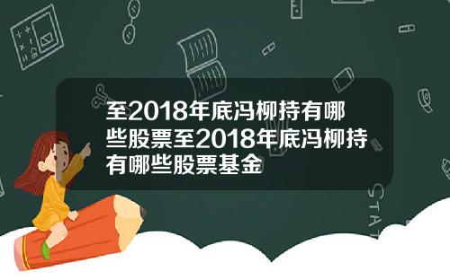 至2018年底冯柳持有哪些股票至2018年底冯柳持有哪些股票基金