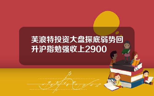 芙浪特投资大盘探底弱势回升沪指勉强收上2900