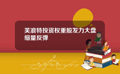 芙浪特投资权重股发力大盘缩量反弹