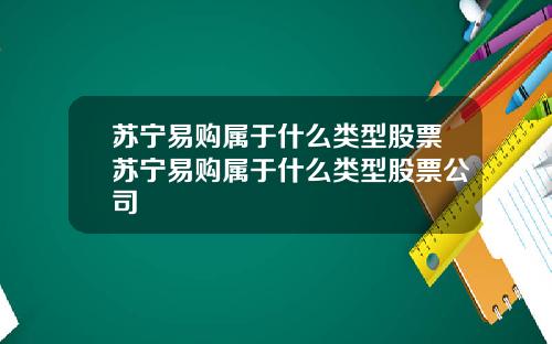 苏宁易购属于什么类型股票苏宁易购属于什么类型股票公司