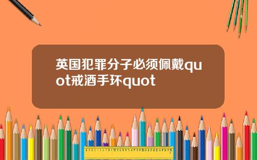 英国犯罪分子必须佩戴quot戒酒手环quot