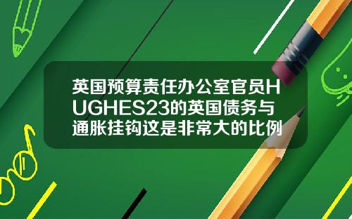 英国预算责任办公室官员HUGHES23的英国债务与通胀挂钩这是非常大的比例