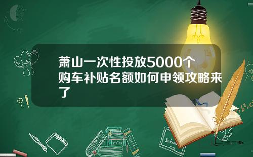 萧山一次性投放5000个购车补贴名额如何申领攻略来了