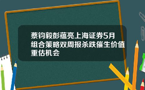 蔡钧毅彭蕴亮上海证券5月组合策略双周报杀跌催生价值重估机会