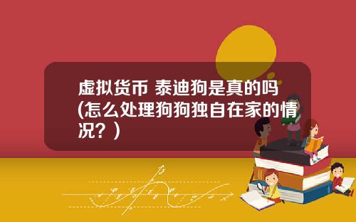 虚拟货币 泰迪狗是真的吗(怎么处理狗狗独自在家的情况？)