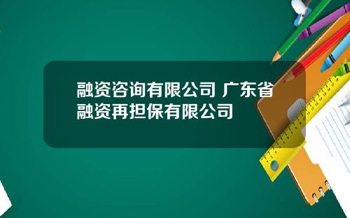融资咨询有限公司 广东省融资再担保有限公司