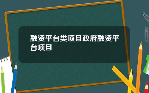 融资平台类项目政府融资平台项目