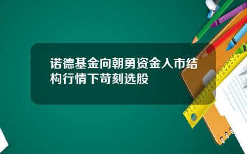 诺德基金向朝勇资金入市结构行情下苛刻选股