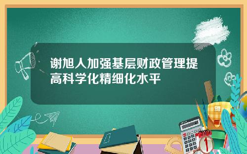 谢旭人加强基层财政管理提高科学化精细化水平