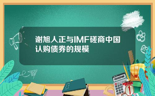 谢旭人正与IMF磋商中国认购债券的规模