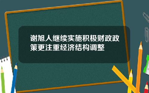 谢旭人继续实施积极财政政策更注重经济结构调整