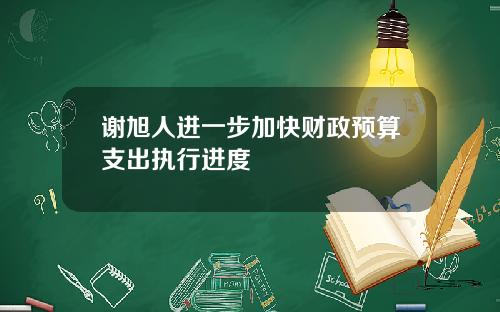 谢旭人进一步加快财政预算支出执行进度