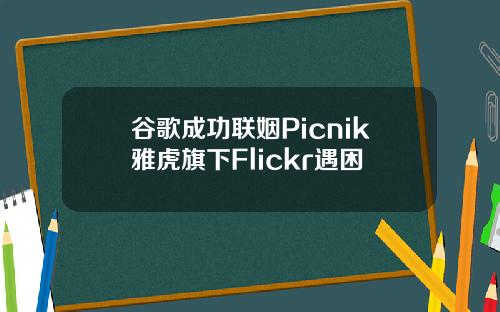 谷歌成功联姻Picnik雅虎旗下Flickr遇困