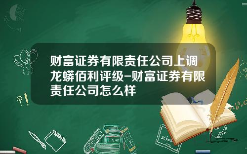 财富证券有限责任公司上调龙蟒佰利评级-财富证券有限责任公司怎么样