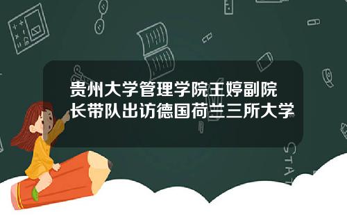 贵州大学管理学院王婷副院长带队出访德国荷兰三所大学