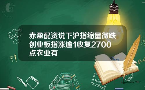赤盈配资说下沪指缩量微跌创业板指涨逾1收复2700点农业有