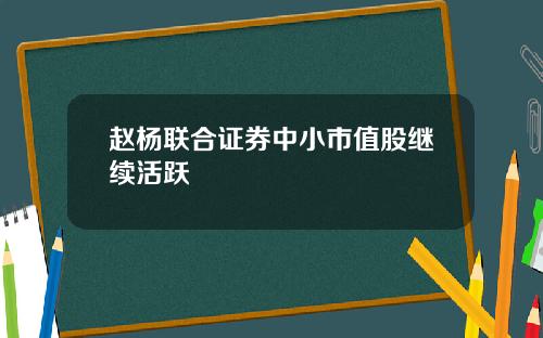 赵杨联合证券中小市值股继续活跃