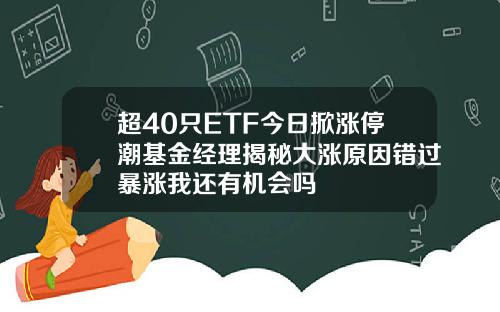 超40只ETF今日掀涨停潮基金经理揭秘大涨原因错过暴涨我还有机会吗