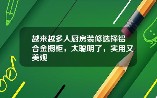越来越多人厨房装修选择铝合金橱柜，太聪明了，实用又美观