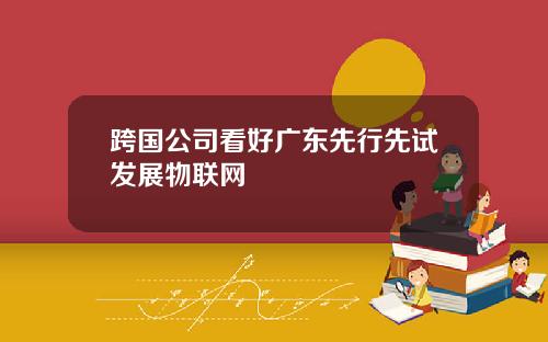 跨国公司看好广东先行先试发展物联网