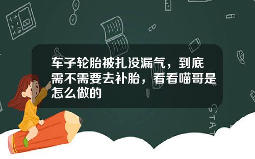 车子轮胎被扎没漏气，到底需不需要去补胎，看看喵哥是怎么做的