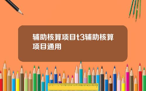 辅助核算项目t3辅助核算项目通用
