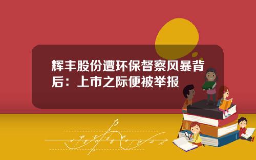 辉丰股份遭环保督察风暴背后:上市之际便被举报