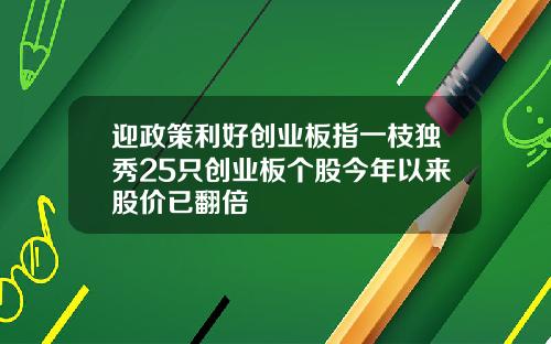 迎政策利好创业板指一枝独秀25只创业板个股今年以来股价已翻倍