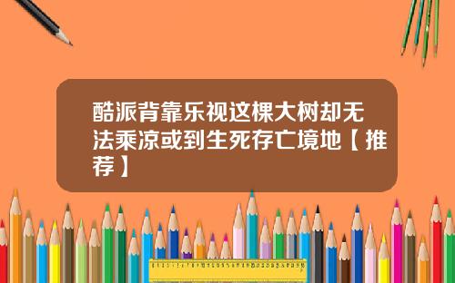 酷派背靠乐视这棵大树却无法乘凉或到生死存亡境地【推荐】