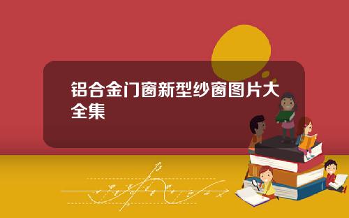 铝合金门窗新型纱窗图片大全集