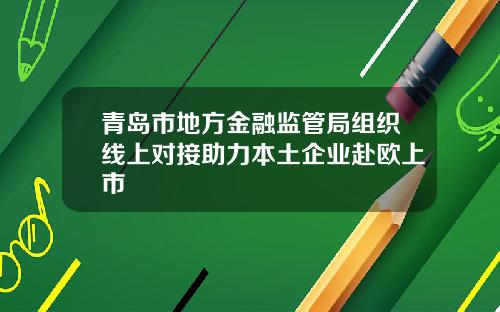 青岛市地方金融监管局组织线上对接助力本土企业赴欧上市