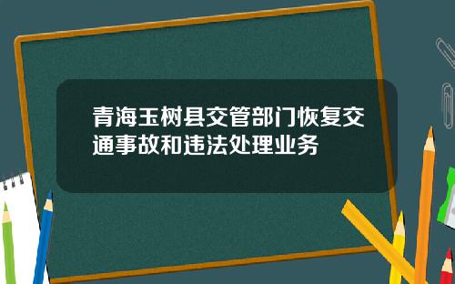 青海玉树县交管部门恢复交通事故和违法处理业务