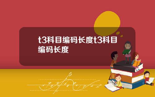 t3科目编码长度t3科目编码长度
